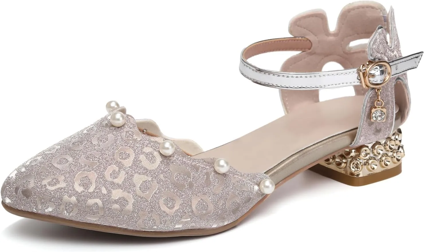 AOQUNFS Girls Dress Shoes Latin Ballroom Dance Shoes Mary Jane Low Heels Wedding Party Sandals,DS-2067