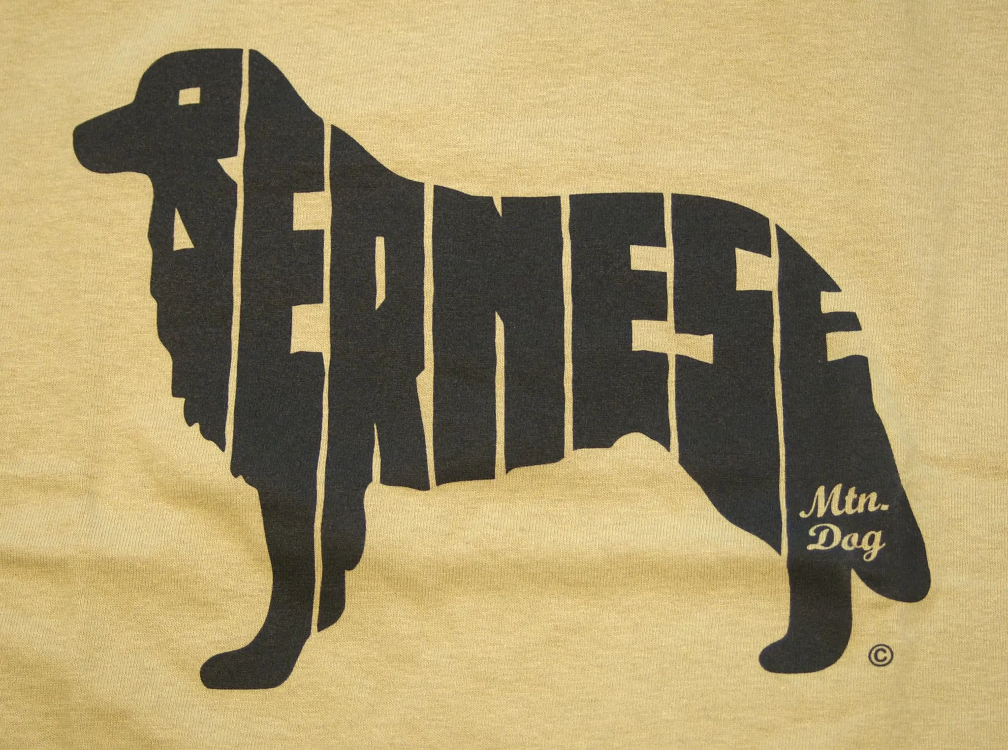 Bernese Mountain Dog