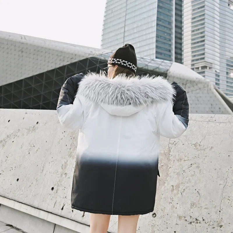 Gradient Mountain Coat